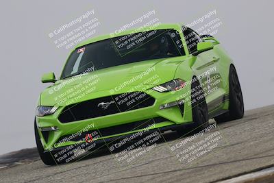 media/Nov-21-2025-Audi Club (Fri) [[8110d52e1e]]/Open Track Photos/3 Grapevine/